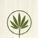Natural ingredients icon